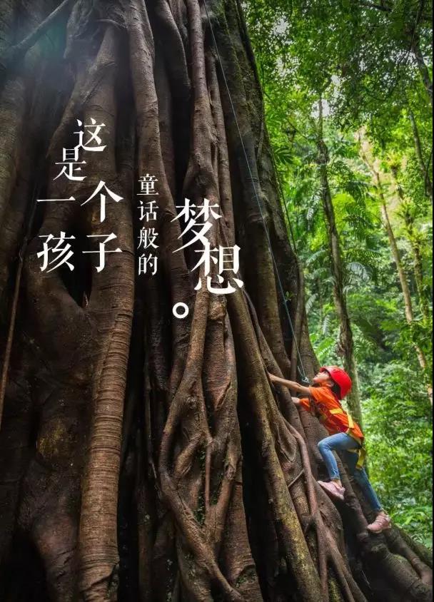 西雙版納研學(xué)旅行夏令營(yíng)