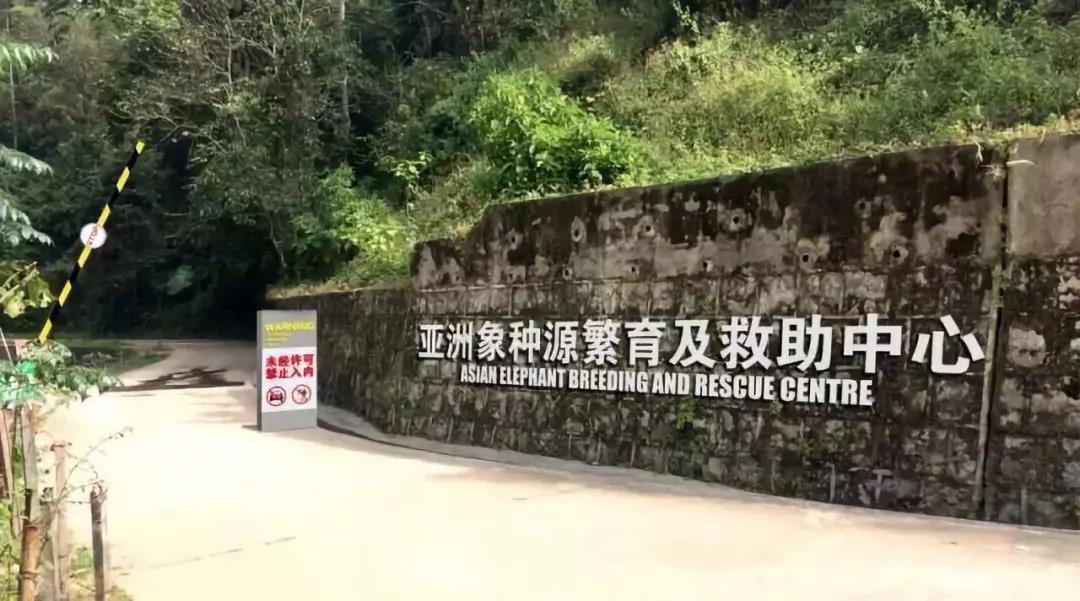 西雙版納你研學(xué)旅行夏令營(yíng)