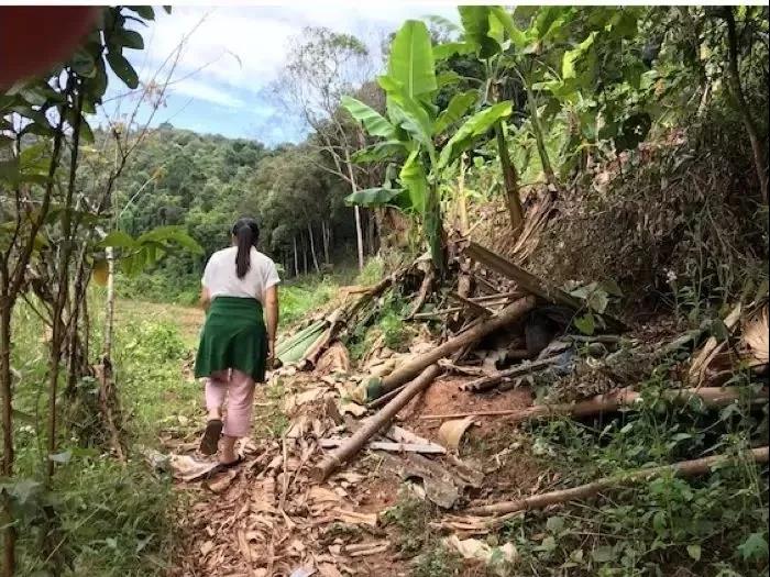 西雙版納研學(xué)旅行夏令營(yíng)