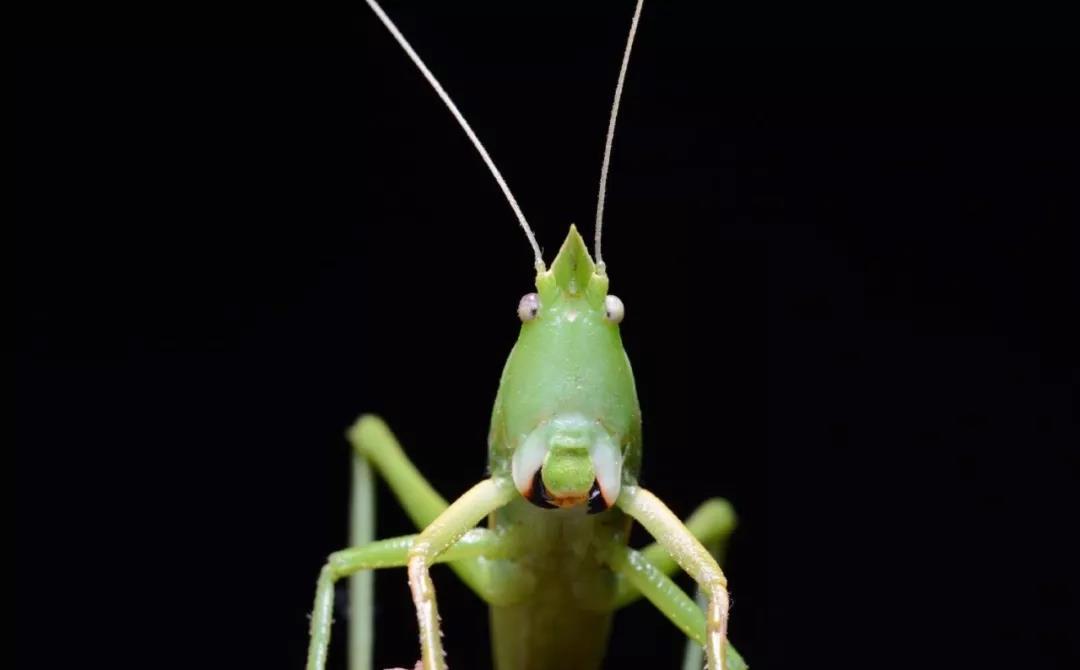 西雙版納研學營