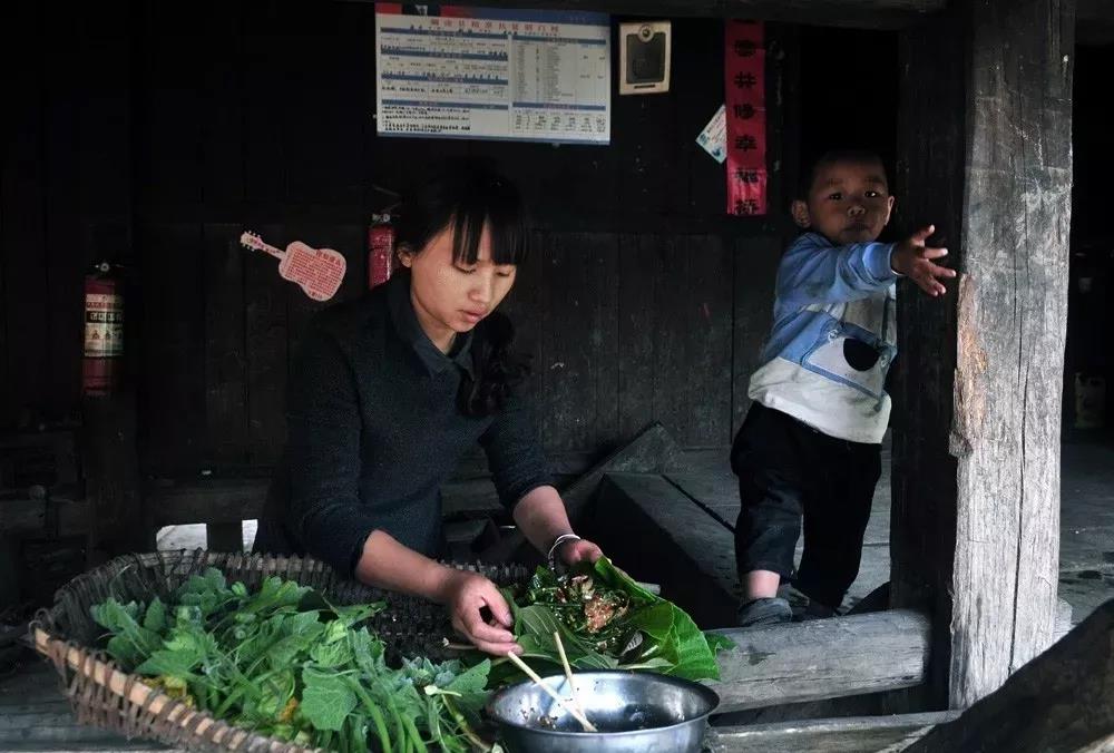 西雙版納研學夏令營
