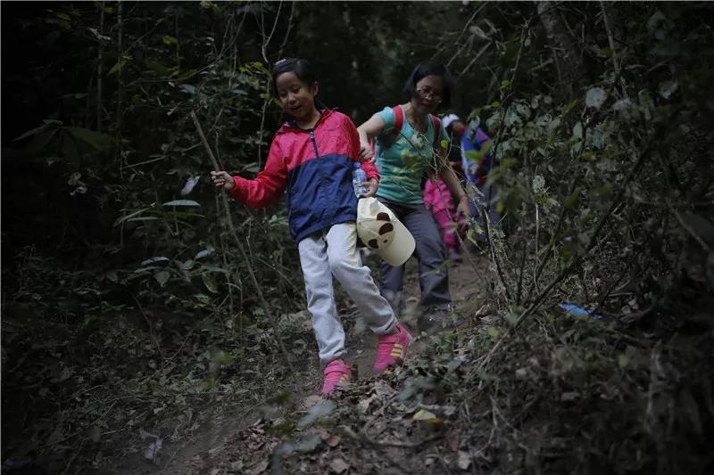 西雙版納研學夏令營