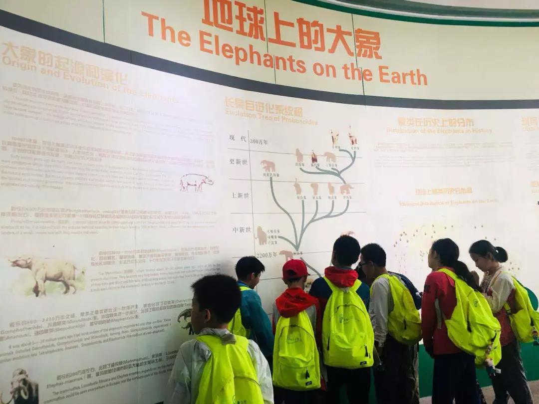 西雙版納研學夏令營