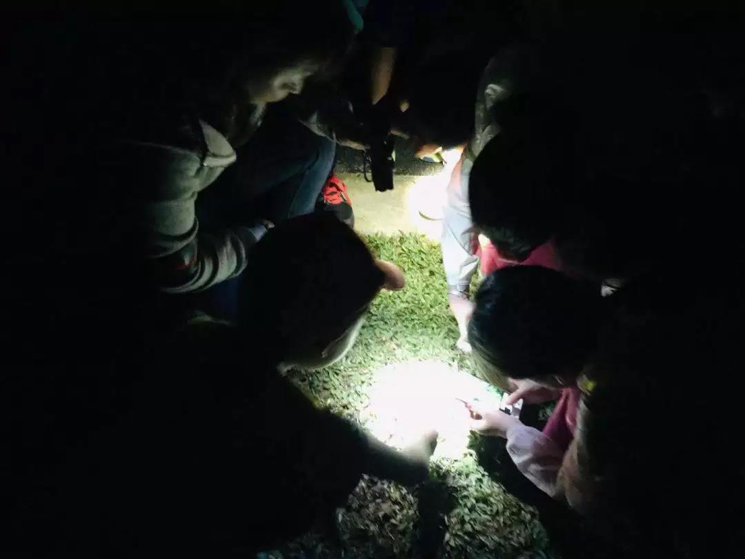 西雙版納研學夏令營