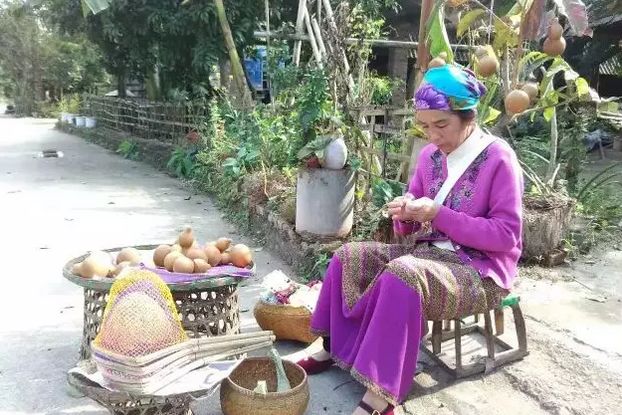 西雙版納研學夏令營