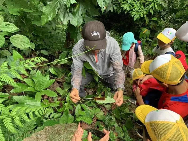 西雙版納研學夏令營