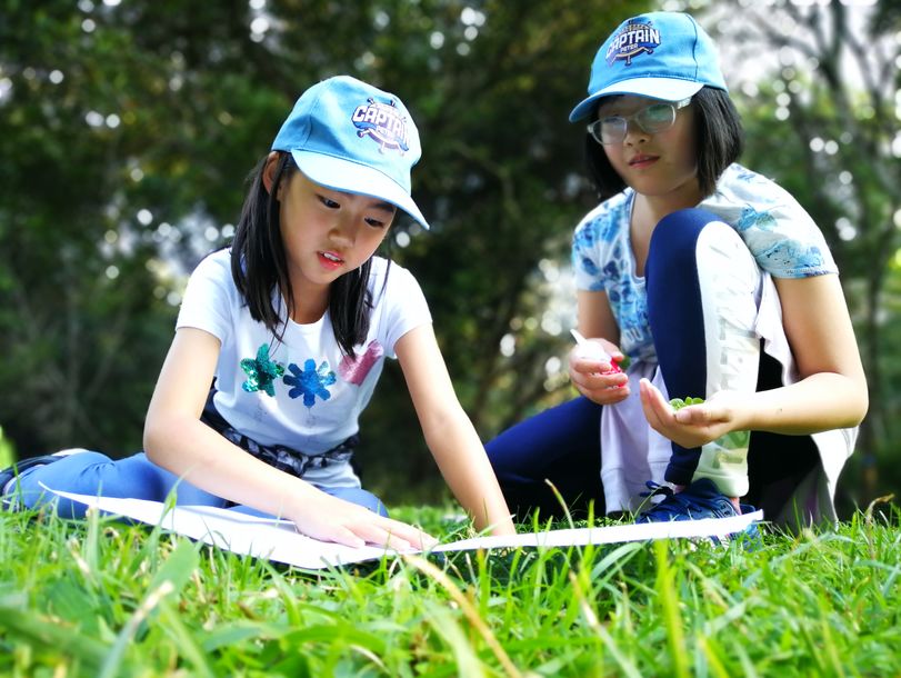 西雙版納培訓(xùn)機(jī)構(gòu)